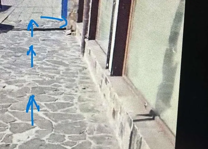 One Bedroom In Banderitsa ,bansko Lägenhet *